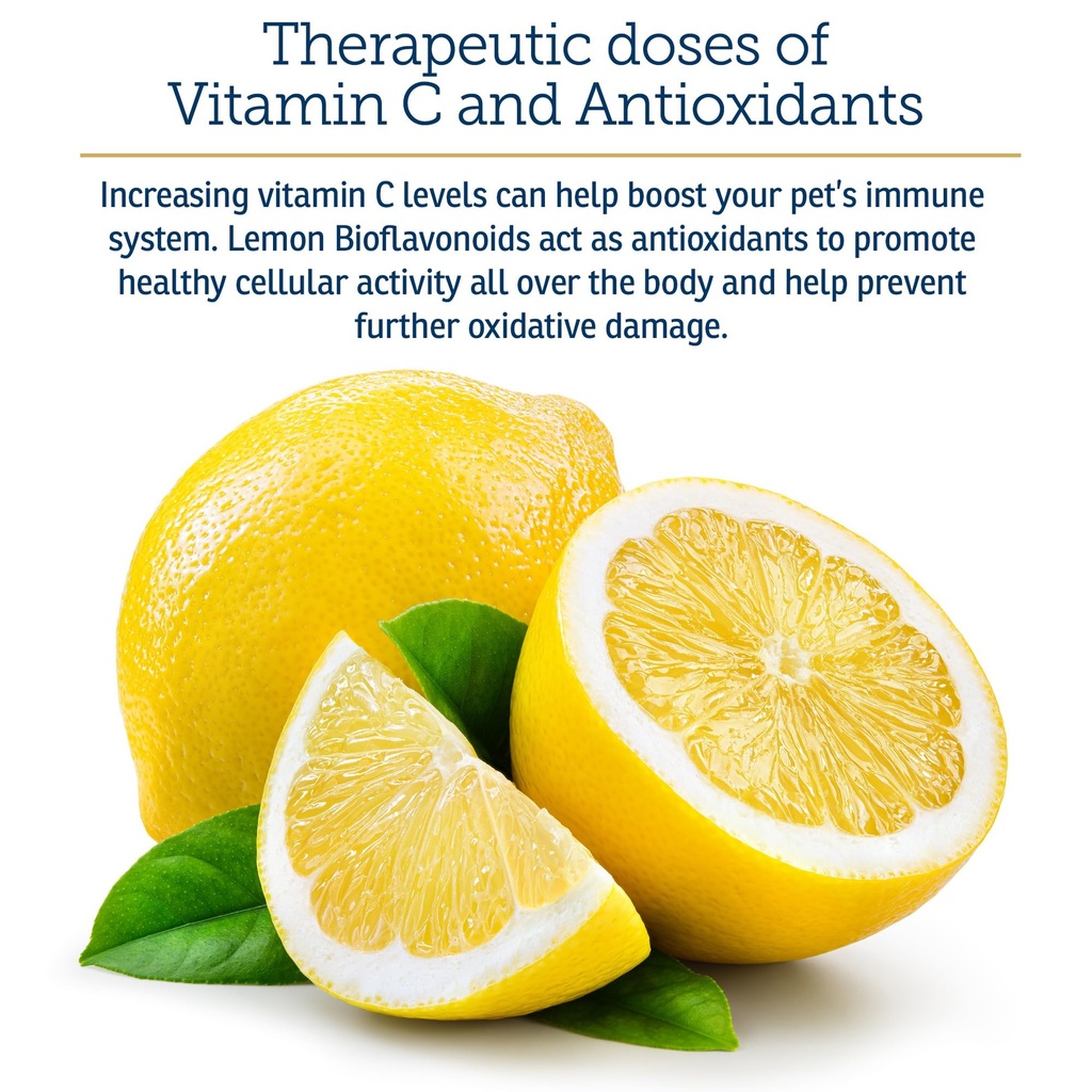 rx-vitamins-bio-c-vitamin-c-for-dogs-and-4.jpg