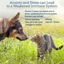 rx-vitamins-bio-c-vitamin-c-for-dogs-and-3.jpg