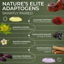 jeet-himalayan-shilajit-gummies-am-pm-ad-3.jpg