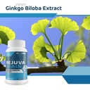 rejuva-brain-advanced-cognitive-support--6.jpg