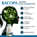organic-veda-bacopa-monnieri-brahmi-supp-4.jpg