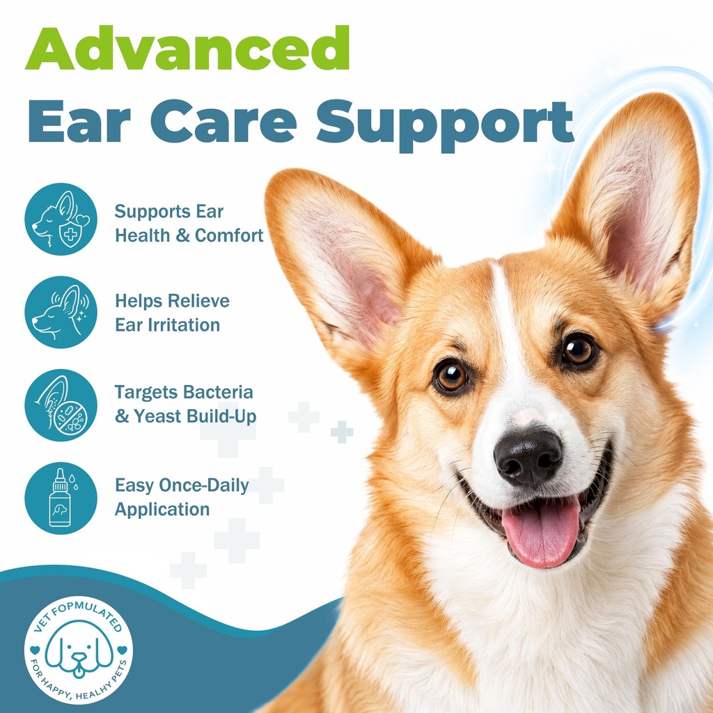 dog-ear-infection-treatment-yeast-infect-2.jpg