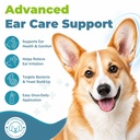 dog-ear-infection-treatment-yeast-infect-2.jpg