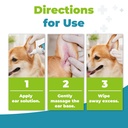 dog-ear-infection-treatment-yeast-infect-6.jpg