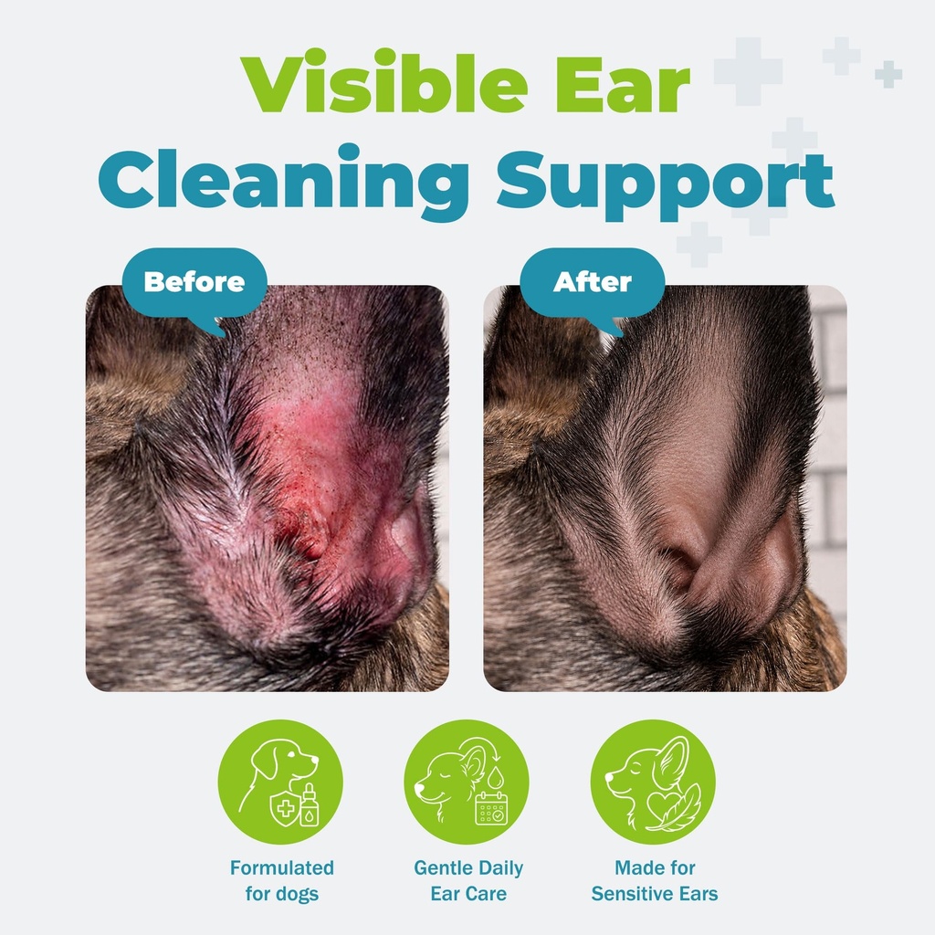 dog-ear-infection-treatment-yeast-infect-4.jpg