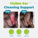 dog-ear-infection-treatment-yeast-infect-4.jpg