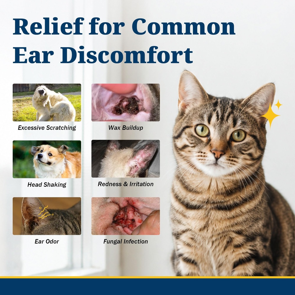 yeast-infection-treatment-for-dogs-dog-e-4.jpg