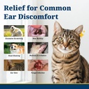 yeast-infection-treatment-for-dogs-dog-e-4.jpg