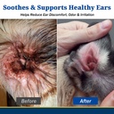yeast-infection-treatment-for-dogs-dog-e-3.jpg