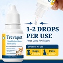 yeast-infection-treatment-for-dogs-dog-e-6.jpg
