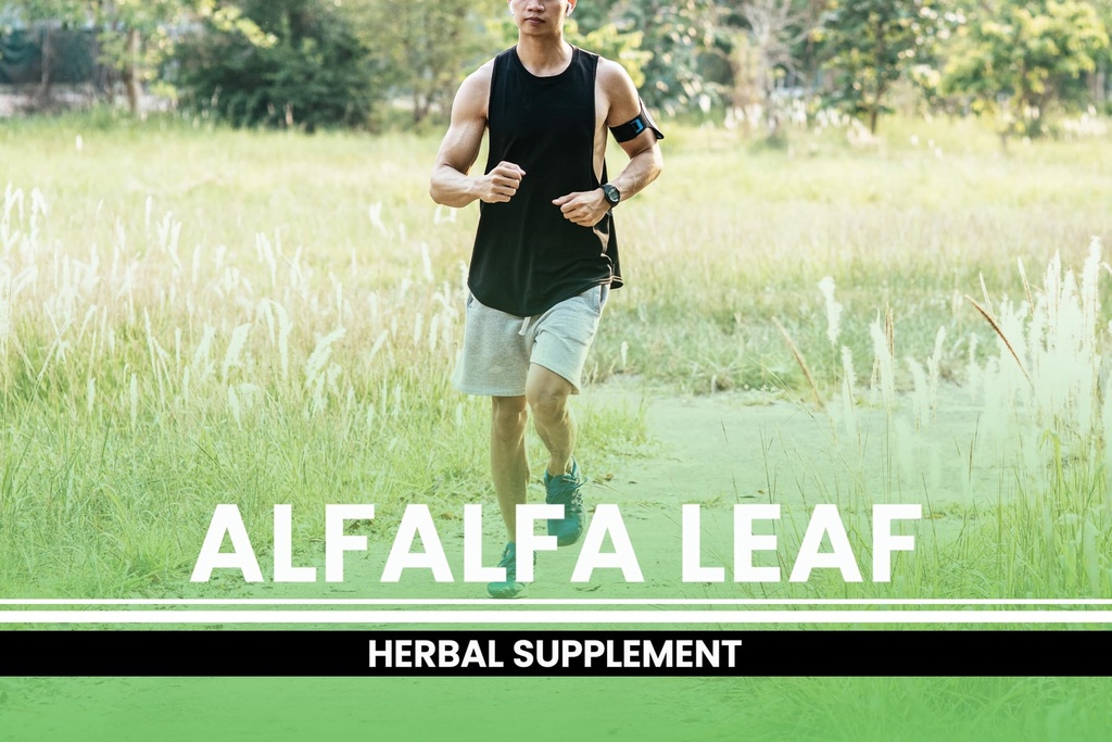 pure-original-ingredients-alfalfa-leaf-3-4.jpg