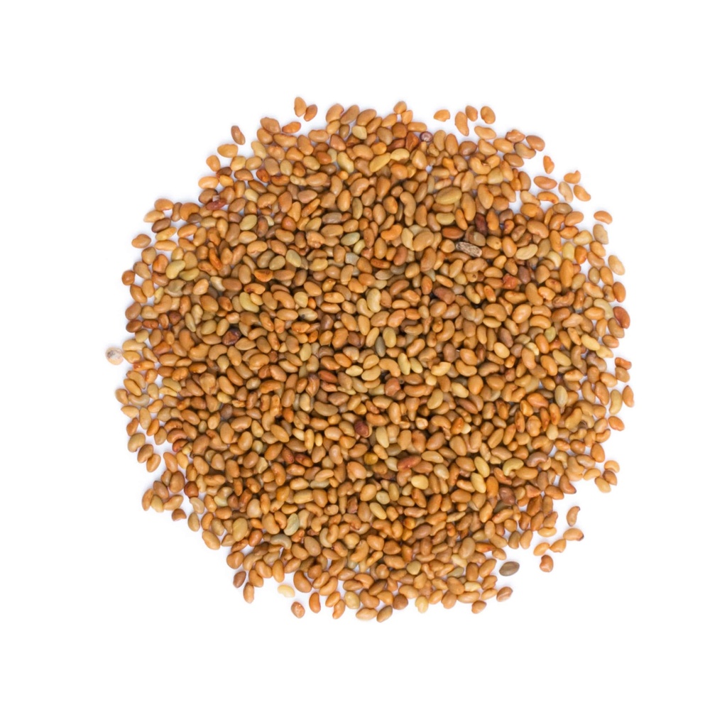 food-to-live-organic-alfalfa-sprouting-s-3.jpg