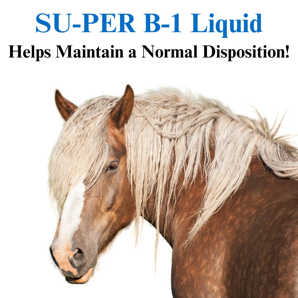 su-per-b-1-horse-calming-supplement-equi-3.jpg