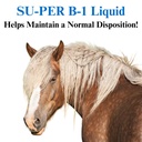 su-per-b-1-horse-calming-supplement-equi-3.jpg