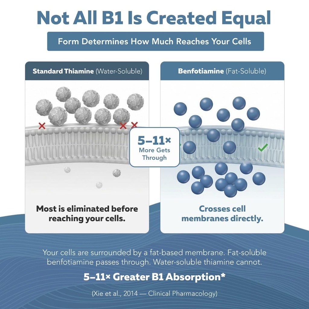 bioactive-vitamin-b1-150mg-benfotiamine--4.jpg