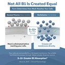 bioactive-vitamin-b1-150mg-benfotiamine--4.jpg