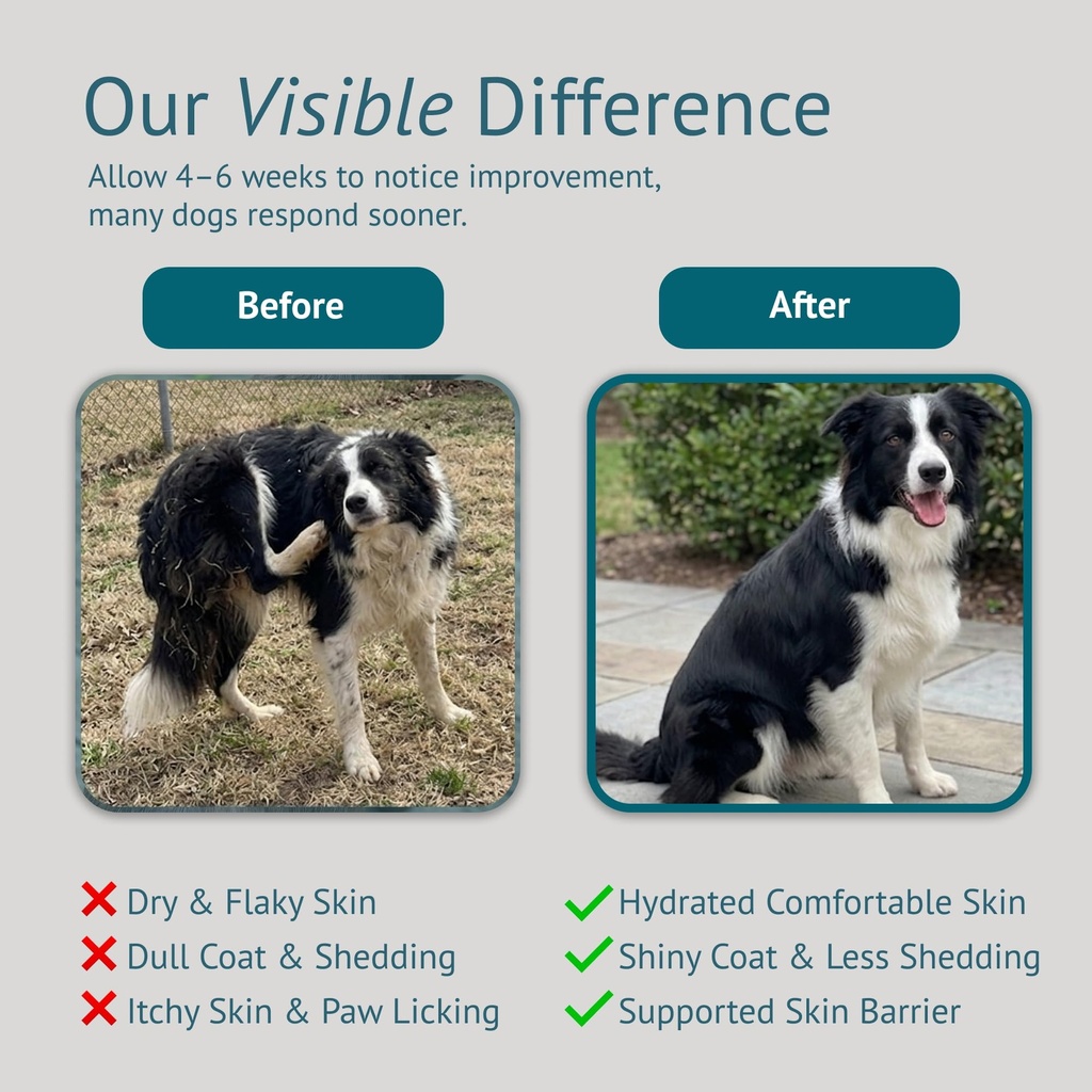 dog-skin-and-coat-supplement-chews-omega-5.jpg