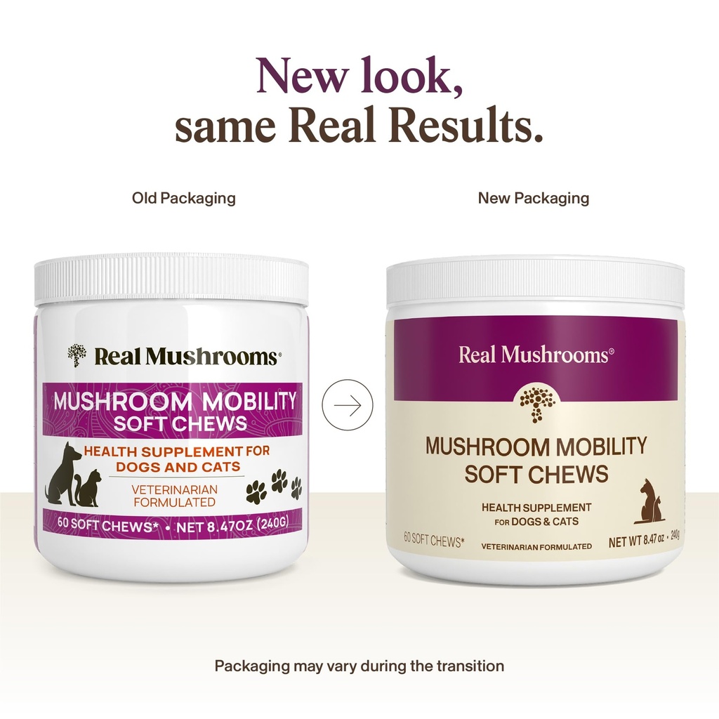 real-mushrooms-mobility-chews-for-dogs-a-2.jpg