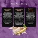 vital-peak-panax-ginseng-peak-500-mg-sup-6.jpg