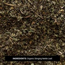 frontier-co-op-stinging-nettle-leaf-cut--2.jpg