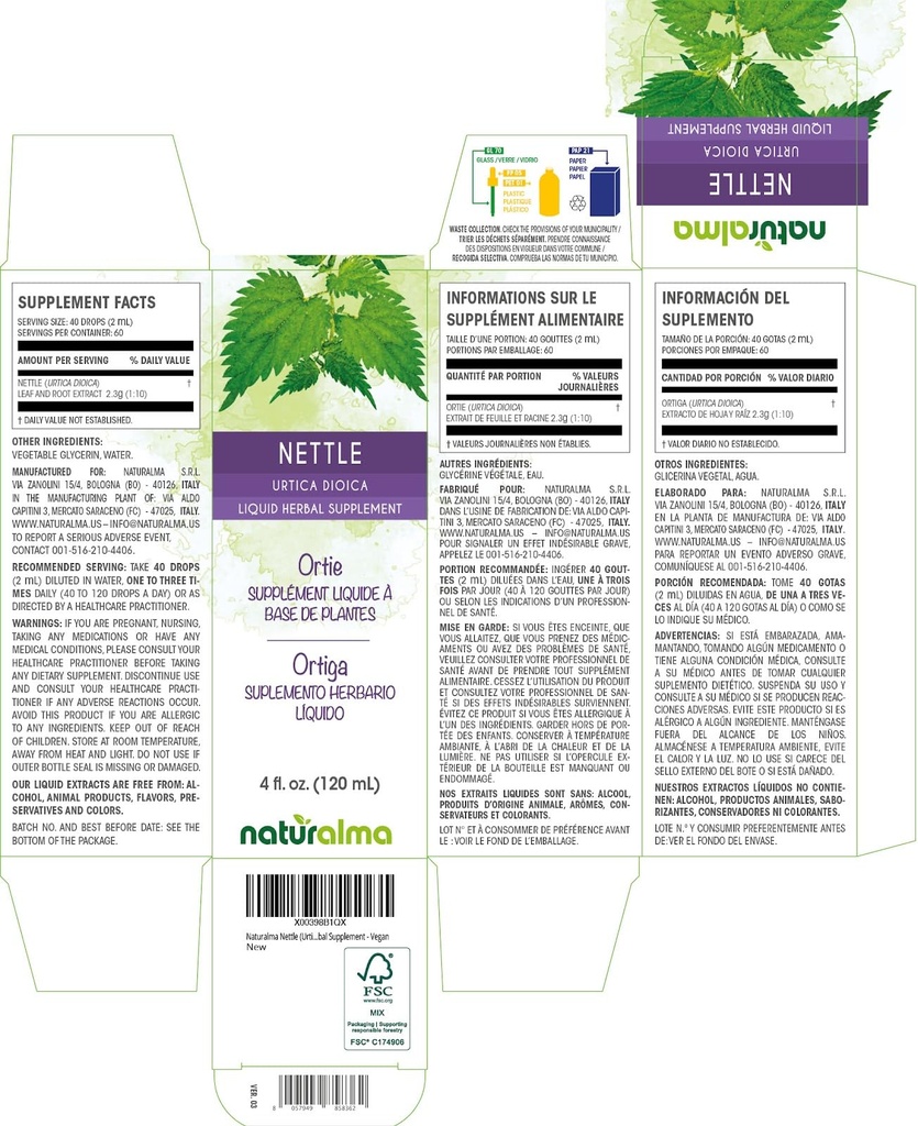 naturalma-nettle-urtica-dioica-leaf-and--2.jpg