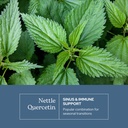 eclectic-institute-raw-fresh-freeze-drie-3.jpg