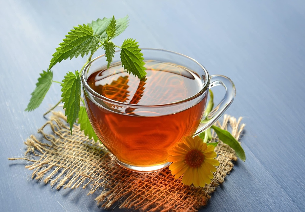 stinging-nettle-seeds-urtica-dioica-from-6.jpg