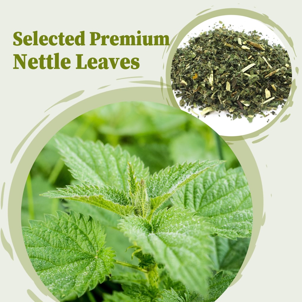 fullchea-nettle-leaf-tea-bags-25-count-s-2.jpg