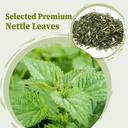 fullchea-nettle-leaf-tea-bags-25-count-s-2.jpg