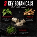 testosterone-booster-for-men-supports-st-5.jpg