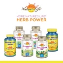 nature-s-life-nettle-root-power-450mg-he-5.jpg