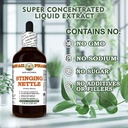 stinging-nettle-urtica-dioica-dry-leaf-g-6.jpg