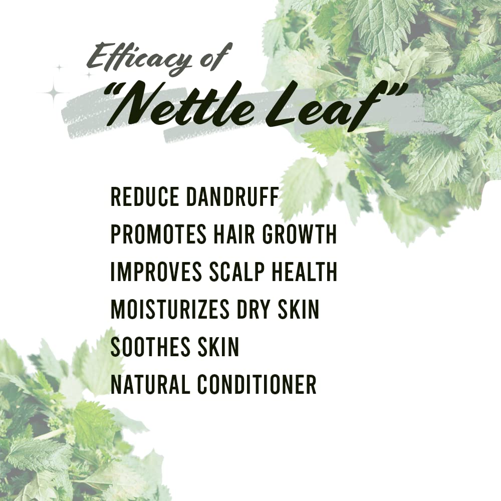 well-s-oil-dried-nettle-leaf-herb-0-5-oz-3.jpg