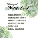 well-s-oil-dried-nettle-leaf-herb-0-5-oz-3.jpg
