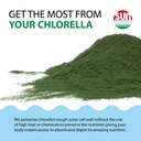 sun-chlorella-powder-green-algae-superfo-6.jpg