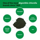 sun-chlorella-powder-green-algae-superfo-4.jpg