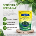 earthrise-superfood-california-spirulina-6.jpg