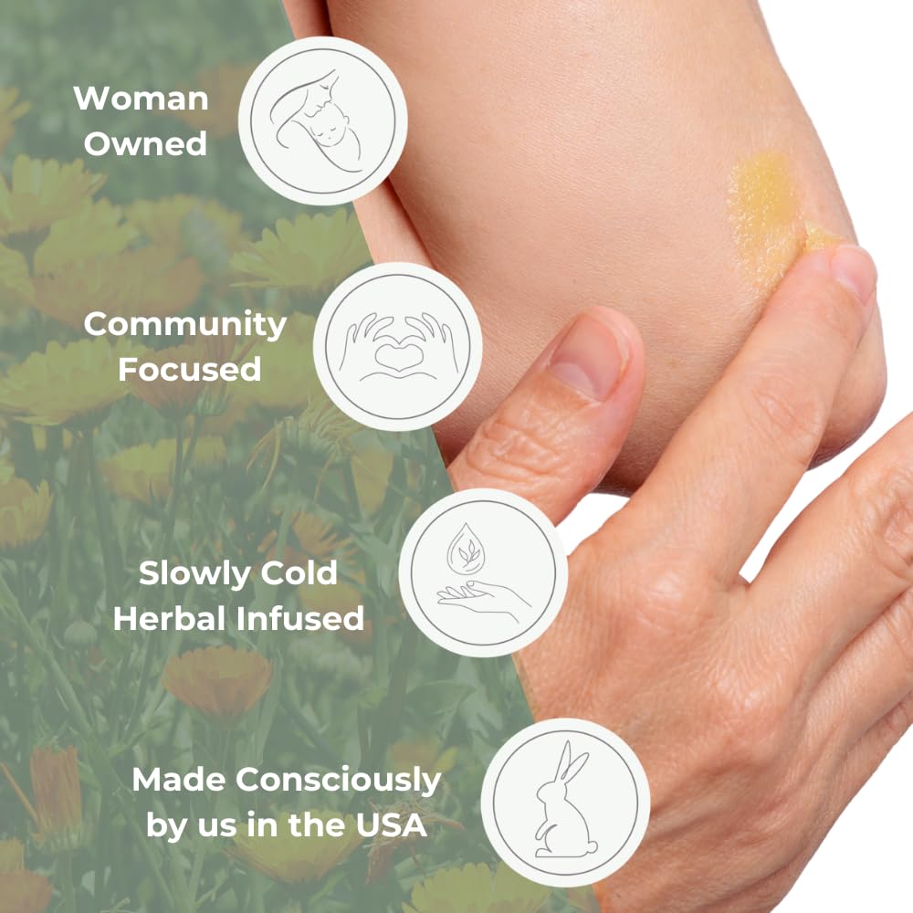 calendula-salve-calendula-cream-drawing--6.jpg