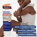 palmer-s-healing-ointment-cocoa-butter-f-5.jpg