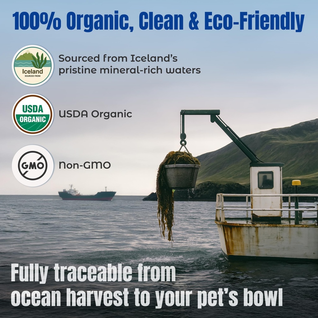 life-line-certified-organic-ocean-kelp-s-6.jpg
