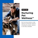 nutri-vet-dog-multivitamin-multivitamin--6.jpg