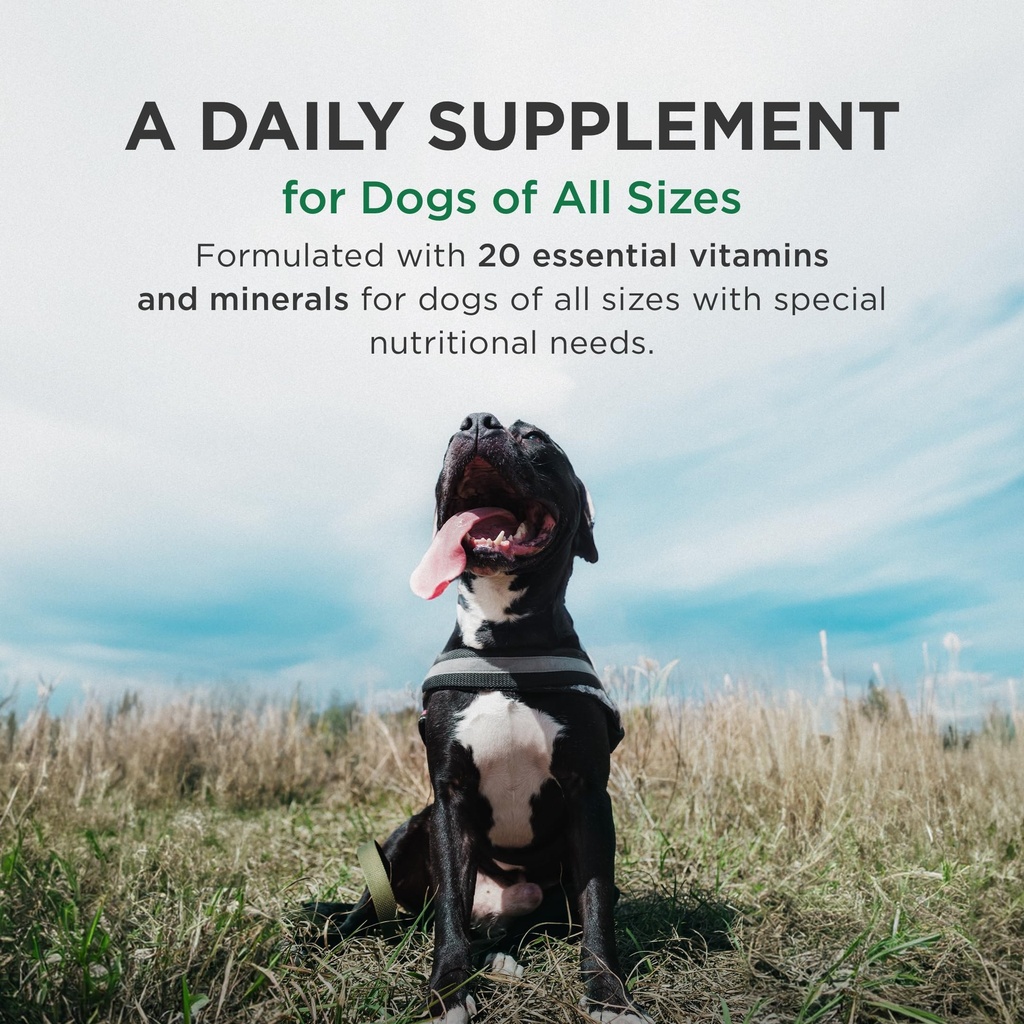plus-multivitamin-for-active-senior-dogs-3.jpg