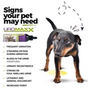 uromaxx-urinary-tract-support-liquid-for-2.jpg