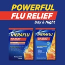 theraflu-day-and-night-pack-severe-cold--5.jpg