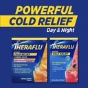 theraflu-daytime-severe-cold-relief-powd-5.jpg