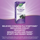 nature-s-way-sambucus-alpha-cf-flu-relie-4.jpg