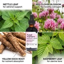 natal-nurture-herbal-supplement-botanica-5.jpg