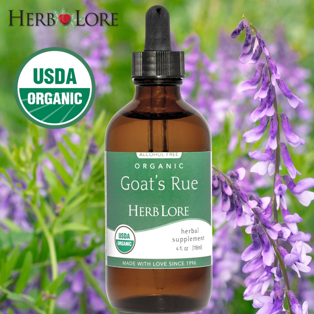 herb-lore-organic-goats-rue-tincture-lac-3.jpg