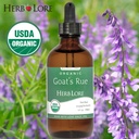 herb-lore-organic-goats-rue-tincture-lac-3.jpg