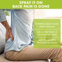 premiere-s-pain-spray-all-natural-mentho-3.jpg
